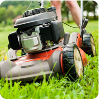 Grass Clippings in Concord Township Ohio